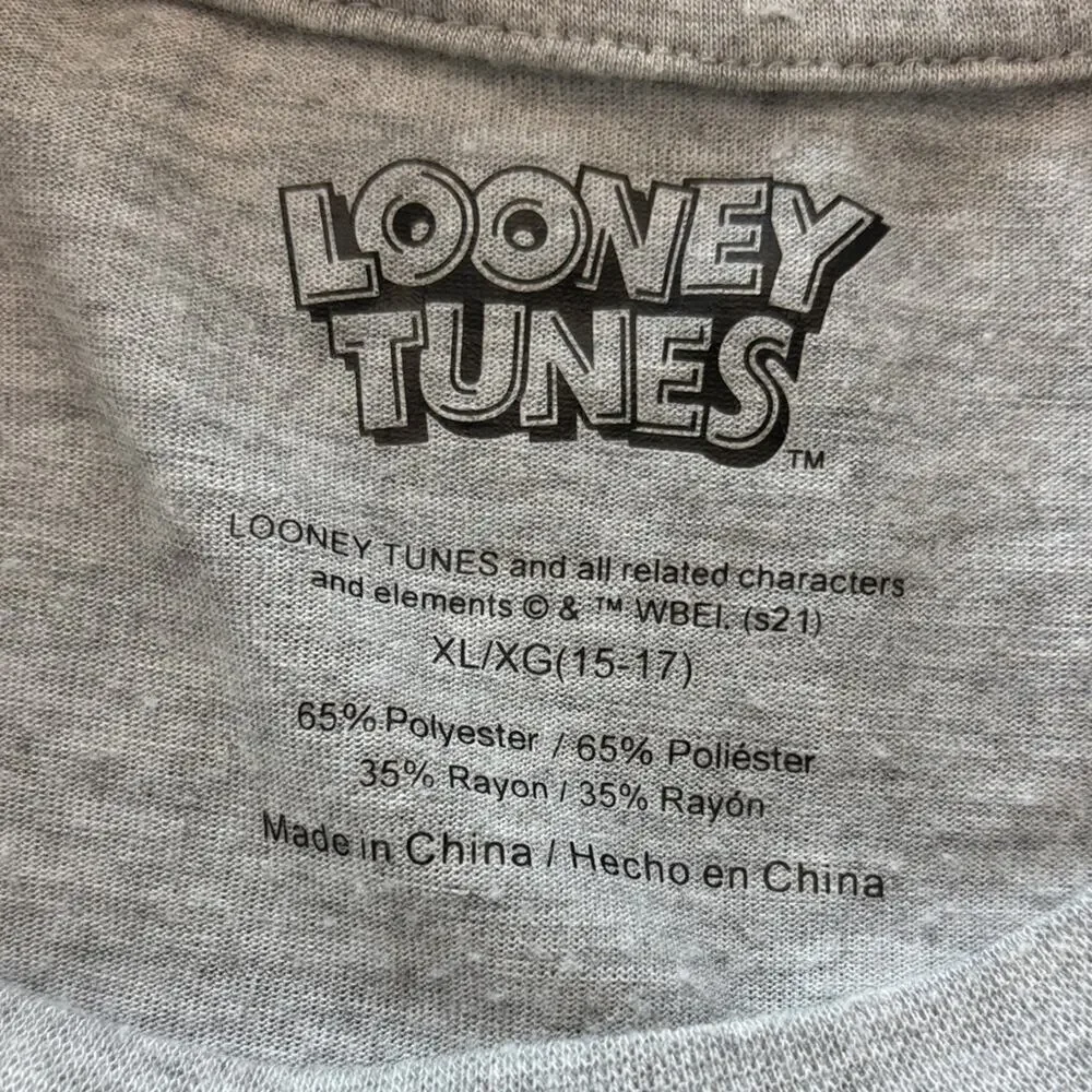 Looney Tunes Authentic Tweety Bird Gray Tee T-Shirt Size XL (15-17) Cartoon